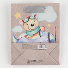 Пакет крафтовый вертикальный «Малышам», S 12 × 15 × 5.5 см 7303764