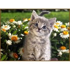 Алмазная мозаика «Послушный котёнок» 27 × 20 см, 32 цв. + наклейка - фото 6573593