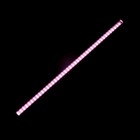 Фитосветильник светодиодный Luazon, 10 Вт, 600 мм, IP40, 220 В, полноспектральный 7064503