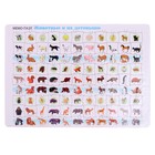 Планшетный пазл «Мемо. Животные и их детеныши», 66 элементов, 34,5 х 24,5 см - фото 107484173