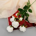 Цветы искусственные "Роза Глория Дей" d-4 см 75 см белый - фото 801009863