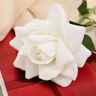 Цветы искусственные "Роза Пьер де Ронсар" d-11 см 60 см белый - фото 801009872