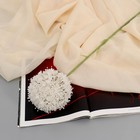 Цветы искусственные "Краспедия шаровидная" d-10 см 70 см белый - фото 4901545