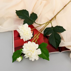 Цветы искусственный "Георгин пионовидный" d-5 см 69 см белый