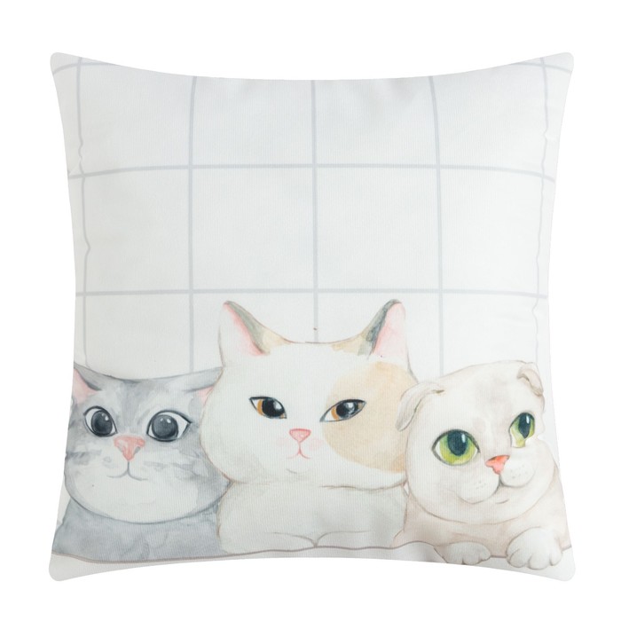 Характер кошки по подушечкам. Подарок для кошки. DAILYCAT подушечки. Кошка на подушке принт милашка. Лефортовский фарфор кошки на подушке.