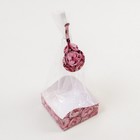 Пакет с жестким дном "Пионы", 9 х 9 х 32 см 7811836