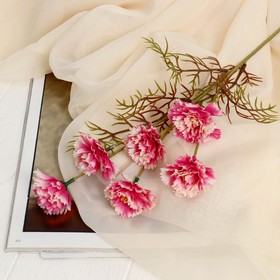 Цветы искусственные "Гвоздика кустовая" d-6 см 59 см, бело-розовый