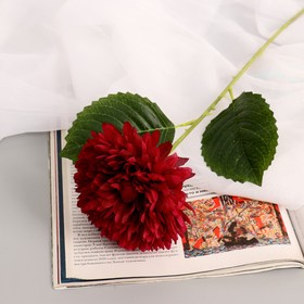 Цветы искусственные "Георгин кактусовый" d-12 см 55 см бордовый