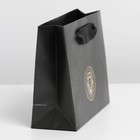 Пакет ламинированный горизонтальный «Лев», S 12 × 15 × 5,5 см 7164737