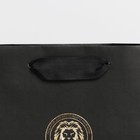 Пакет ламинированный горизонтальный «Лев», S 12 × 15 × 5,5 см 7164737