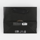 Пакет ламинированный горизонтальный «Лев», S 12 × 15 × 5,5 см 7164737