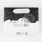 Пакет ламинированный горизонтальный «Номер 1», S 12 × 15 × 5,5 см 7164739