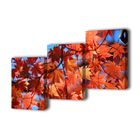 Модульная картина на подрамнике "Осенние листья", 3 — 50×70 см, 150x70 см