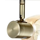 Люстра  Обь 2х40Вт Е14 бронза 41,5х10х18см - фото 3414151