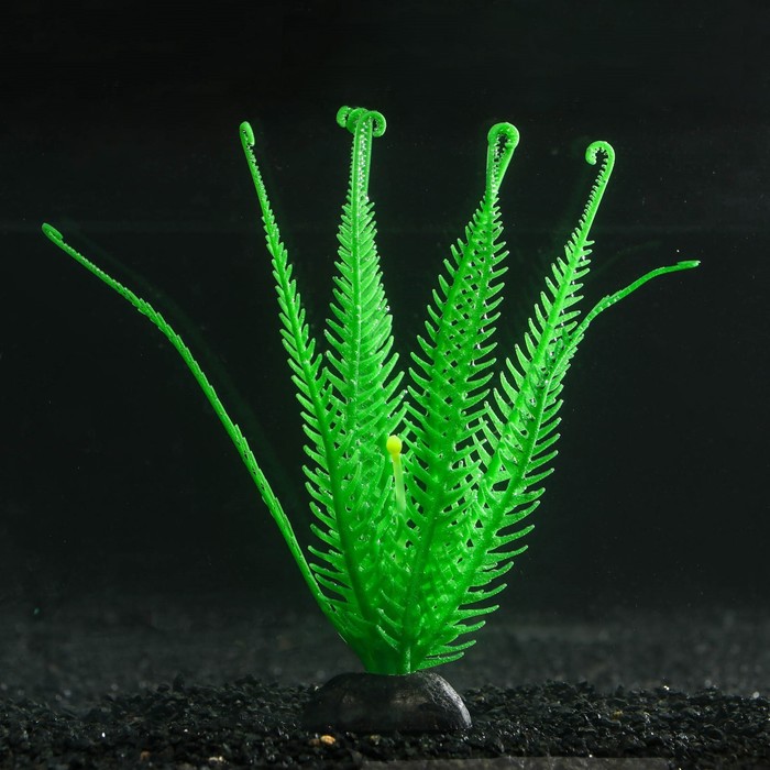 Силиконовая аквариум. Светящиеся растения. Аквариумный силикон. Силиконовые растения. Флуоресцентные растения.