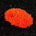 Декор для аквариума "Коралл" силиконовый, светящийся в темноте, 10 х 4,5 см, красный - фото 4930839