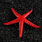 Декор для аквариума "Звезда" силиконовая, с неоновым эффектом, 10 х 10,5 х 1,5 см, красная - фото 4930943