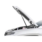 Газовые упоры капота АвтоУпор, Hyundai Tucson IV 2021-н.в., 2 шт., UHYTUC021 7846869 Газовые упоры капота АвтоУпор, Hyundai Tucson IV 2021-н.в., 2 шт., UHYTUC021 7846869