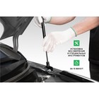 Газовые упоры капота Pneumatic, Kia Rio IV 2020-н.в., 2 шт., KU-KI-RI04-01 7846881 Газовые упоры капота Pneumatic, Kia Rio IV 2020-н.в., 2 шт., KU-KI-RI04-01 7846881