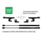 Газовые упоры капота Pneumatic, Skoda Rapid I, II 2013-н.в., 2 шт., KU-SK-RP00-02 7846889 Газовые упоры капота Pneumatic, Skoda Rapid I, II 2013-н.в., 2 шт., KU-SK-RP00-02 7846889