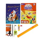 Папка д/труда А4 молния вокруг/откидная планка пластик ПТР-1/set 10 пред мал Джойстик - фото 801083035