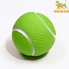 Игрушка пищащая "Теннисный мяч" для собак, 7,5 см, зелёная - фото 4965585