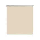Рулонная штора Decorest «Блэкаут» «Плайн» «Мини», 60x160 см, цвет кремово-бежевый - фото 7183295
