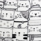 Плед Этель "Котики" 175*200 см, велсофт, 190 гр/м2, 100% п/э - фото 801428998