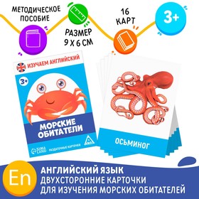 Раздаточные карточки «Изучаем английский. Морские обитатели», 3+ 7160326