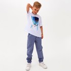 Брюки для мальчика MINAKU: Cotton collection цвет синий, рост 110 - фото 801520573