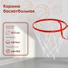 Корзина баскетбольная №3, d=295 мм, с сеткой - фото 798903084