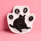 Открытка с дополнительным элементом «С ДР», кот, 9,5 × 9,3 см 7614591