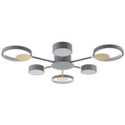 Люстра с ПДУ 2301/6GR LED 120Вт 3000-6000К серый 75х75х8 см - фото 801460982