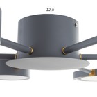 Люстра с ПДУ 2301/6GR LED 120Вт 3000-6000К серый 75х75х8 см - фото 801460987