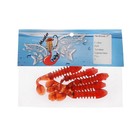 Приманка силиконовая Master Twist SKELETON 3", цвет 049, набор 5 шт, бордовый - фото 801532109