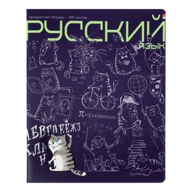 Тетрадь предметная Кот в теме, 48 листов в линейку «Русский язык» со справочным материалом, блок 65 г/м2, гибридный УФ-лак 7801140