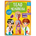 Мой первый атлас с наклейками «Тело человека» - фото 5072608