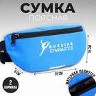 Сумка на пояс 32*8*15, Putin team, Гимнастика, отд на молнии - фото 802130512