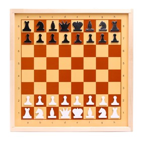 {{photo.Alt || photo.Description || 'Шахматы и шашки демонстрационные магнитные (мини)'}}