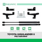 Газовые упоры капота Pneumatic, Toyota Highlander U40 2010-2013, 2 шт., KU-TY-HL00-00 7847143 - фото 111607