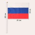 Флаг России, 14 х 21 см, шток 30 см