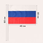 Флаг России 30 х 45 см, шток 60 см