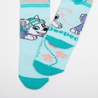 Колготки PAW PATROL "Эверест" мятный, рост 98-104 см (5 шт) - фото 801821907