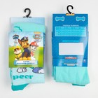 Колготки PAW PATROL "Эверест" мятный, рост 98-104 см (5 шт) - фото 801821910
