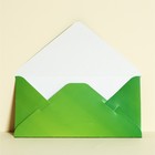 Конверт для денег с деревянным элементом "С Днем Рождения!" звери 7894842