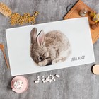 Полотенце "Этель" Shy bunny 40х73 см, 100% хл, саржа 190 гр/м2 - фото 6897745