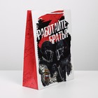 Пакет ламинированный «Братья», L 31 х 40 х 11,5 см 7847261