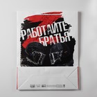 Пакет ламинированный «Братья», L 31 х 40 х 11,5 см 7847261