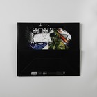 Пакет ламинированный «За победу», ML 23 х 27 х 11.5 см 7847262