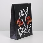 Пакет ламинированный «Сила в правде», L 31 х 40 х 11,5 см 7847264